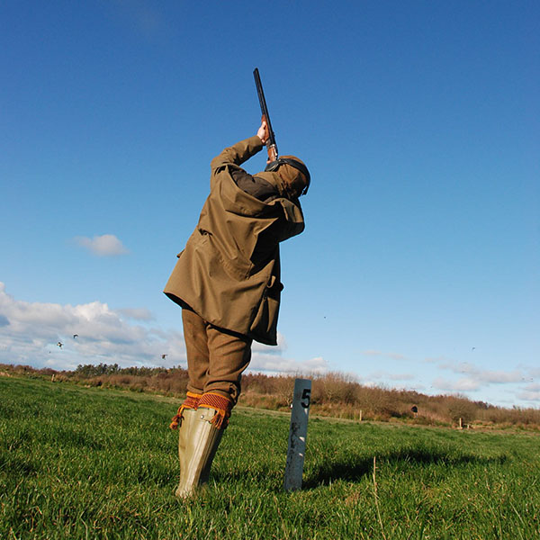 Hunting and Shooting at Presaddfed